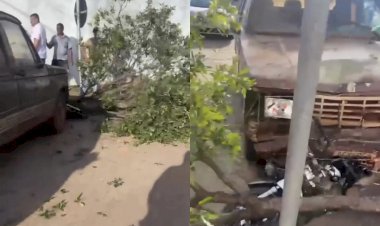 ACIDENTE EM PORANGATU UMA D-20 ARRANCOU UMA ÁRVORE E DEPOIS DESTRUIU UM BIZ QUE ESTAVA ESTACIONADA