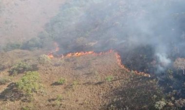 Incêndio na Chapada dos Veadeiros volta a atingir Terra Indígena Avá Canoeiro e destrói mais de 500 hectares