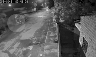 2 INDIVÍDUOS FURTAM 2 PÉS DE GUARIROBA