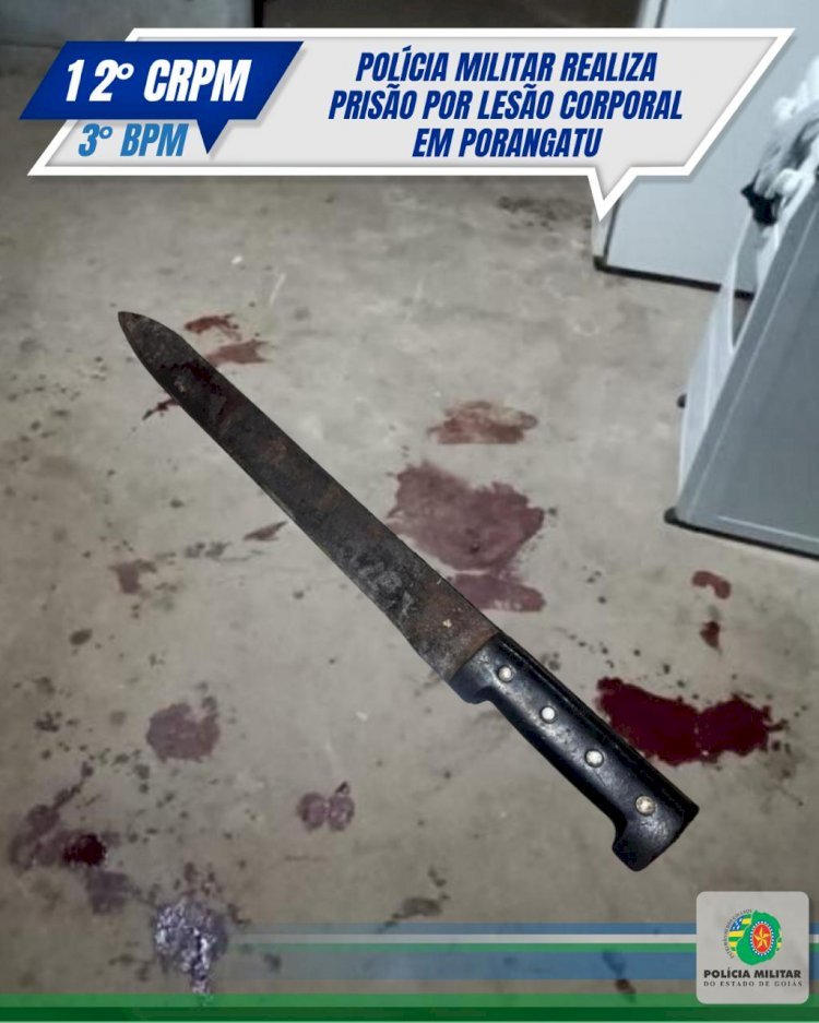 POLÍCIA MILITAR REALIZA PRISÃO POR LESÃO CORPORAL EM PORANGATU