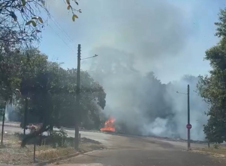 Moradores registram incêndio em vegetação na Vila de Furnas, em Minaçu