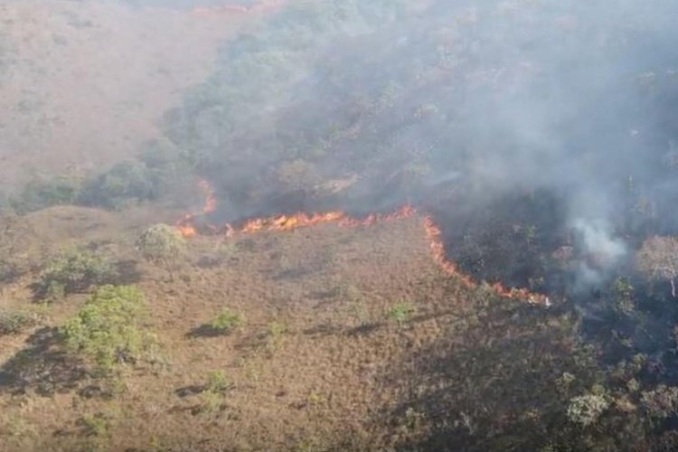 Incêndio na Chapada dos Veadeiros volta a atingir Terra Indígena Avá Canoeiro e destrói mais de 500 hectares